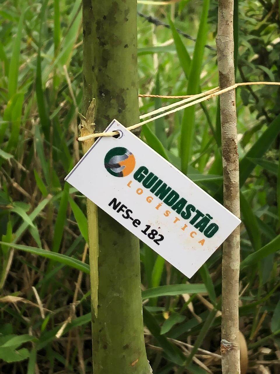 1° Campanha Guindastão Verde_07